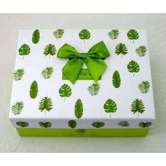 KRABICE LIST 3ks 28x10x21cm 24x9x17 21x8x14*ZELENÁ