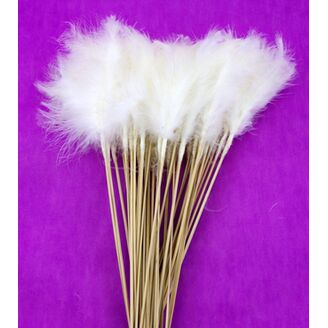 ZÁPICH PEŘÍ 50ks 11x34cm*