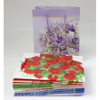 TAŠKA X MIX 20x24x11cm V+