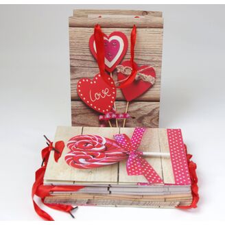 TAŠKA LUX 18x24x8cm*