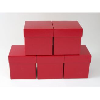 KVĚTINOVÝ BOX 5ks 10x10,5cm*MIX BAREV