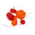 ZÁPICH DÝNĚ 2-5x3cm 24ks*ORANŽOVÁ