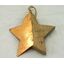 ZÁVĚS HVĚZDA 11cm*PŘÍRODNÍ