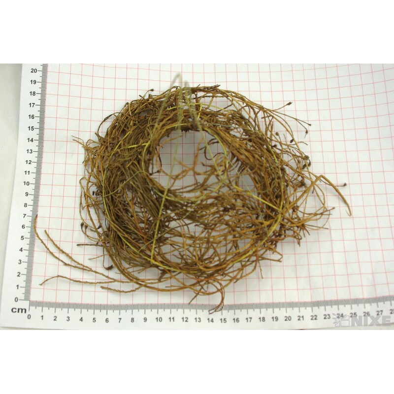 PODLOŽKA TX5459 S3*PŘÍRODNÍ