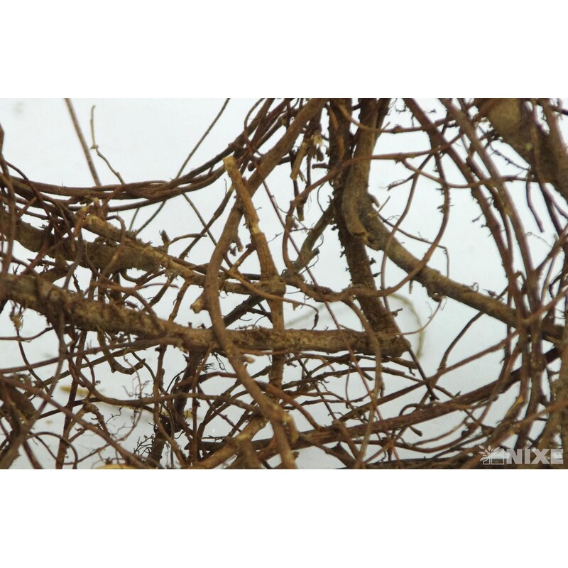 PODLOŽKA TX169985-15 S3*PŘÍRODNÍ