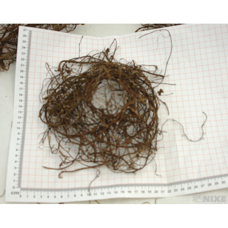 PODLOŽKA TX169985-15 S3*PŘÍRODNÍ