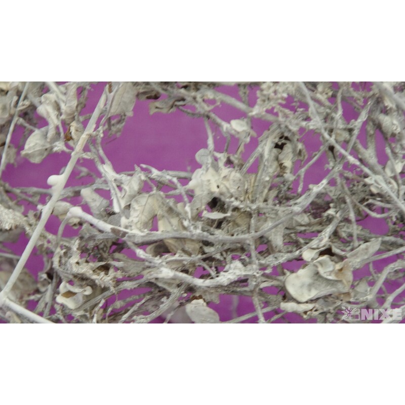 PODLOŽKA TX169985w S3*BÍLÁ