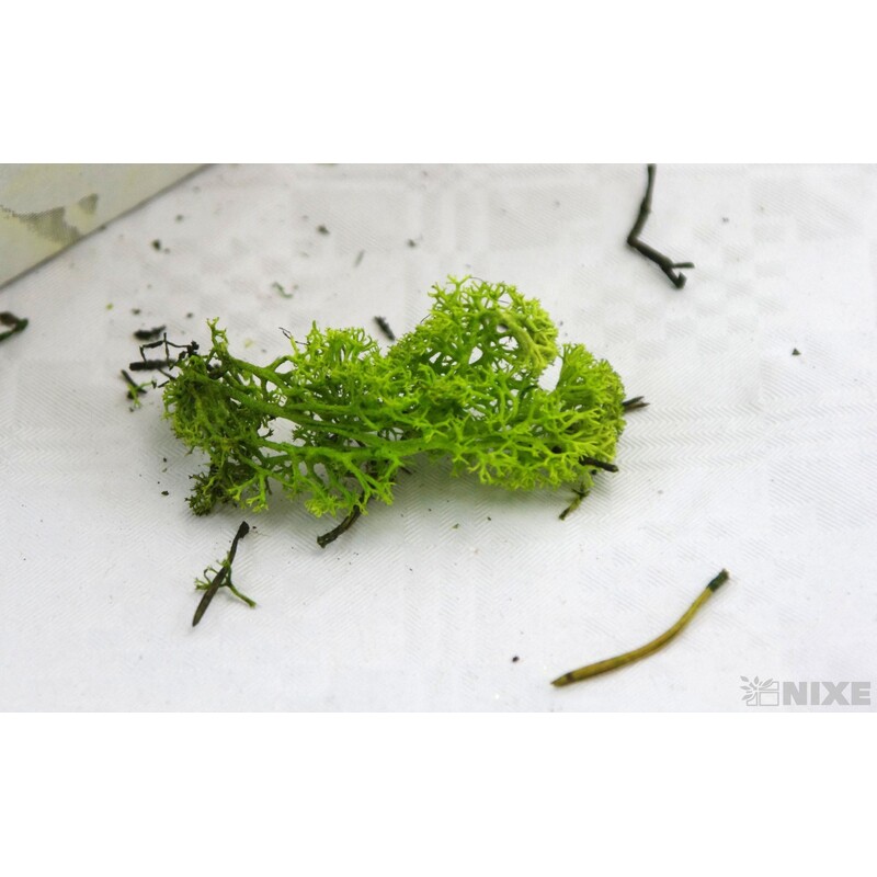 MECH 50g*ZELENÁ SV.