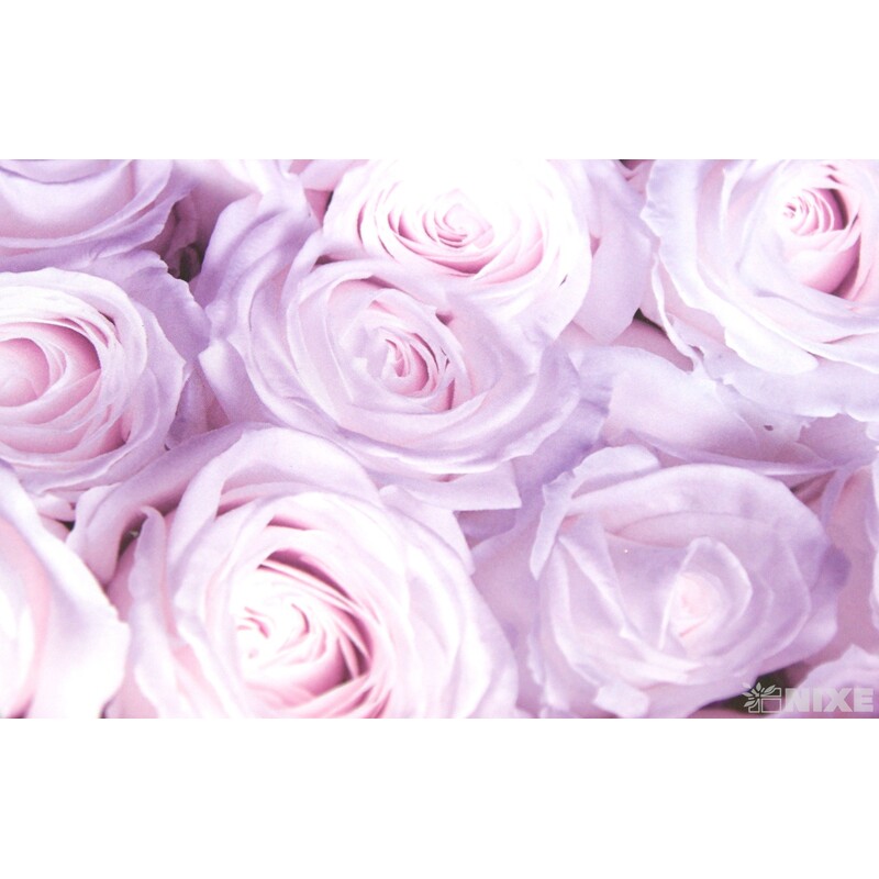 KVĚTINOVÝ BOX pr. 17x23cm 15x21 14x18*FIALOVÁ