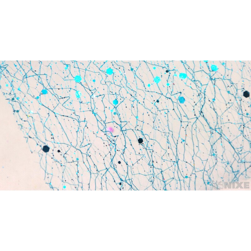 SPIDER ORGANZA BROKÁT 12cmx5yd*TYRKYSOVÁ