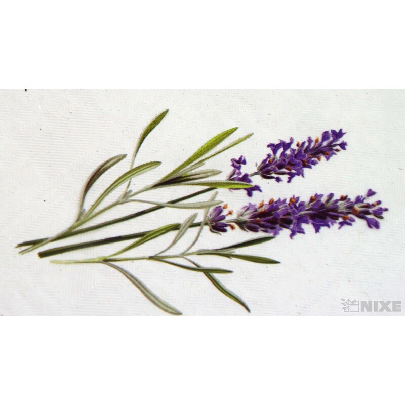 ARCH F A02TJ LEVANDULE 100x130cm V+