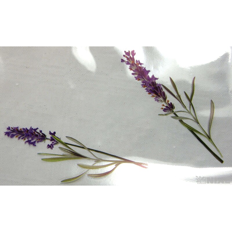 ARCH F A02TJ LEVANDULE 100x130cm V+