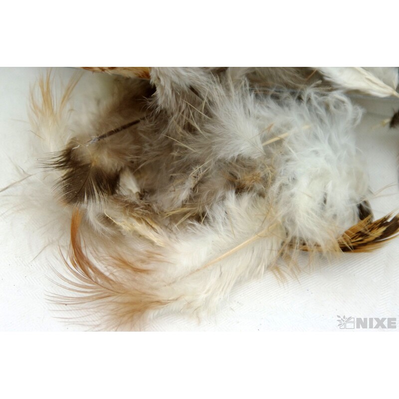 PEŘÍČKA cca 200ks*PŘÍRODNÍ