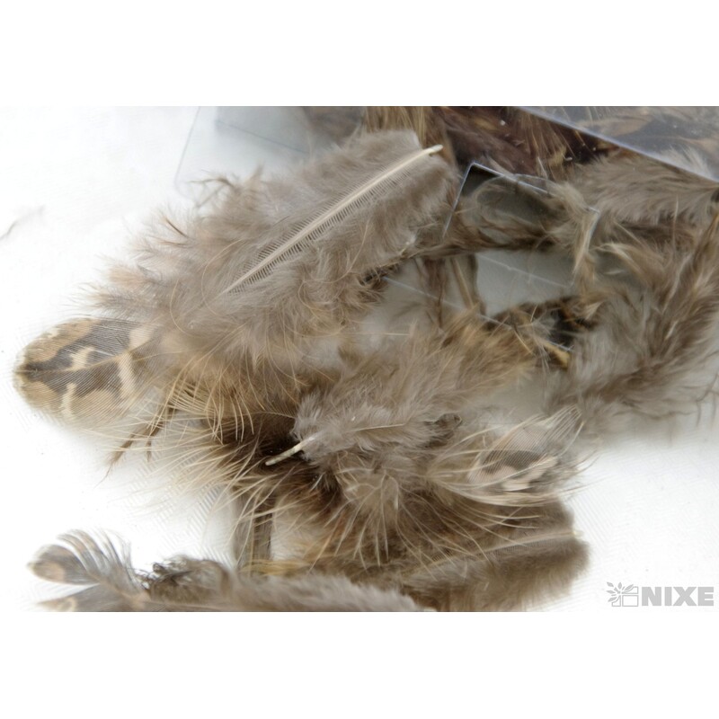 PEŘÍČKA cca 200ks*PŘÍRODNÍ