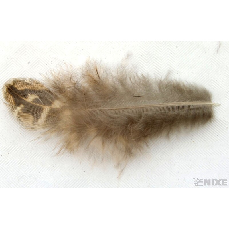 PEŘÍČKA cca 200ks*PŘÍRODNÍ