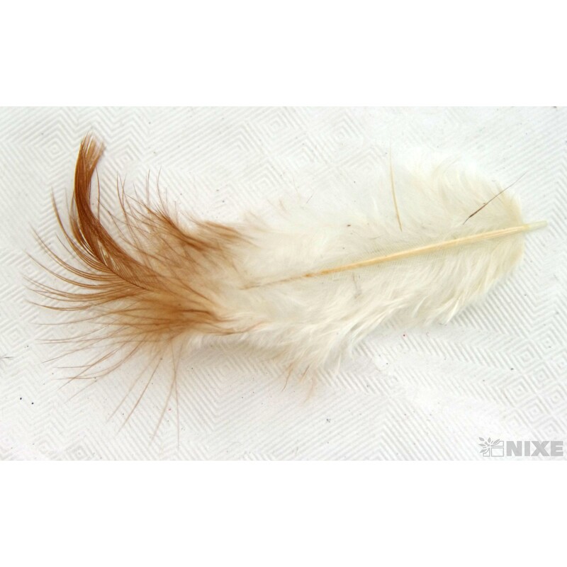 PEŘÍČKA cca 200ks*PŘÍRODNÍ