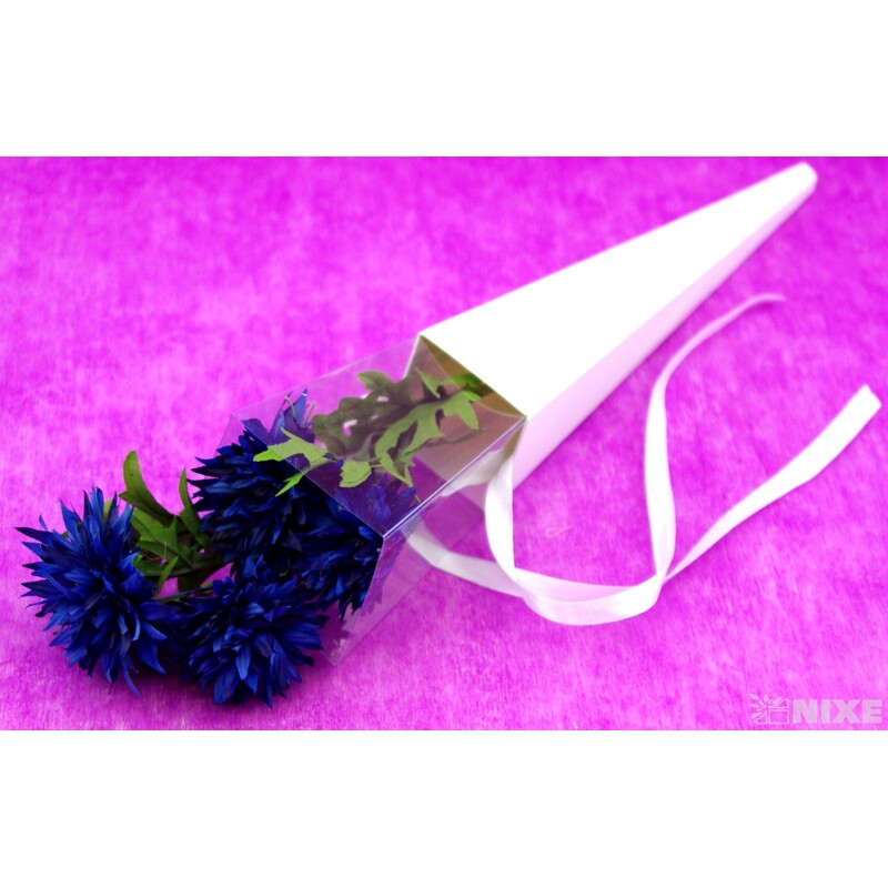 TAŠKA KORNOUT 10x28cm*BÍLÁ