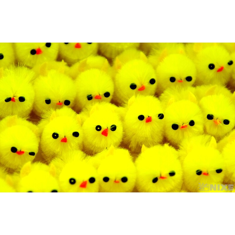 KUŘÁTKA 2cm 72ks*ŽLUTÁ