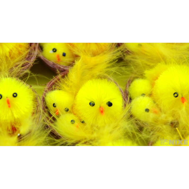 KUŘÁTKA 2x5cm 12ks*ŽLUTÁ