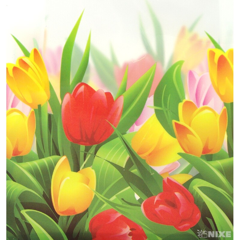 TAŠKA H PLAST 10x16cm*