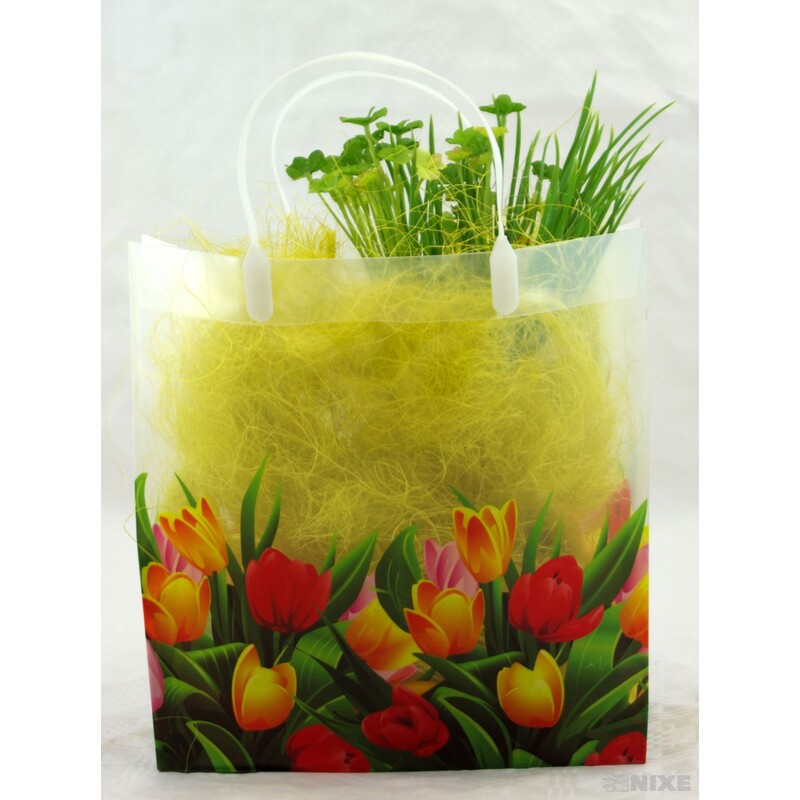 TAŠKA H PLAST 25x23x10cm*