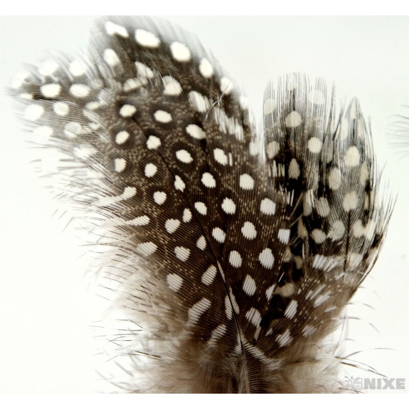 ZÁPICH PEŘÍ 50ks 10x24cm*