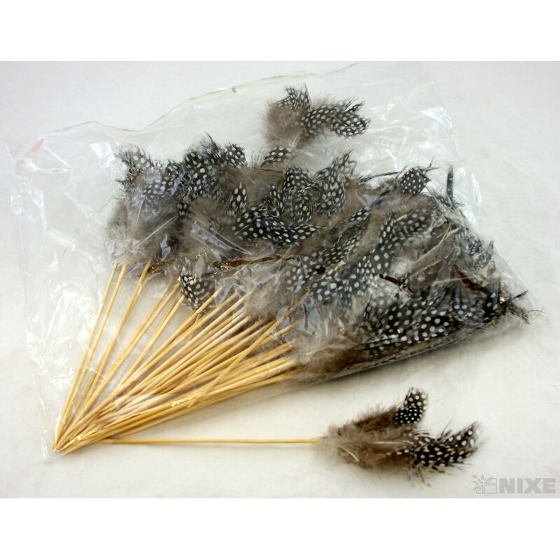 ZÁPICH PEŘÍ 50ks 10x24cm*