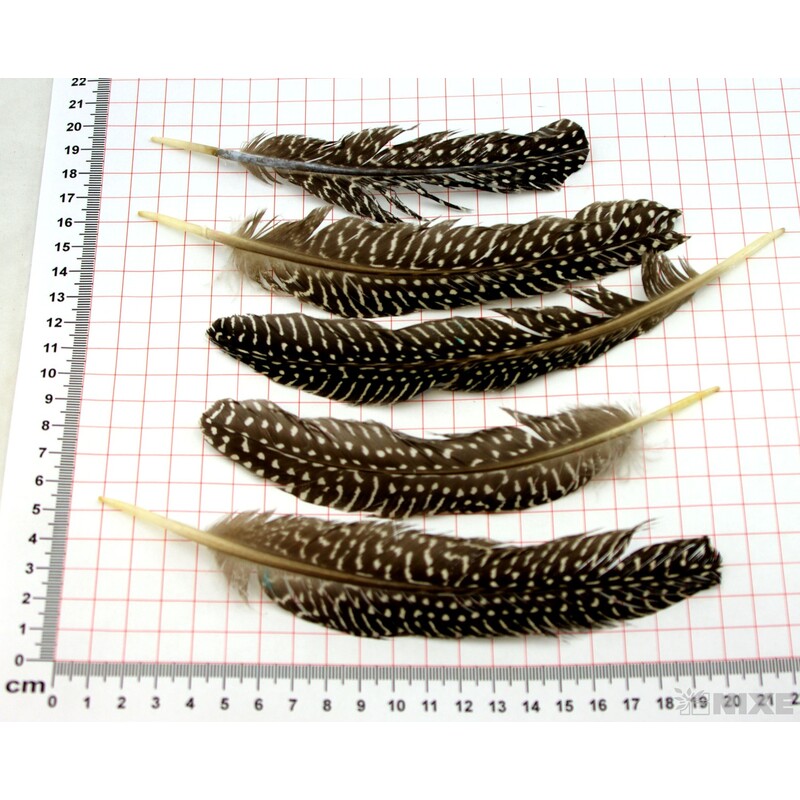 PEŘÍČKA SÁČEK 13ks KROPENATÉ