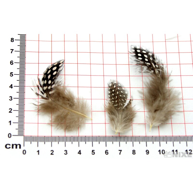 PEŘÍČKA SÁČEK 20ks KROPENATÉ