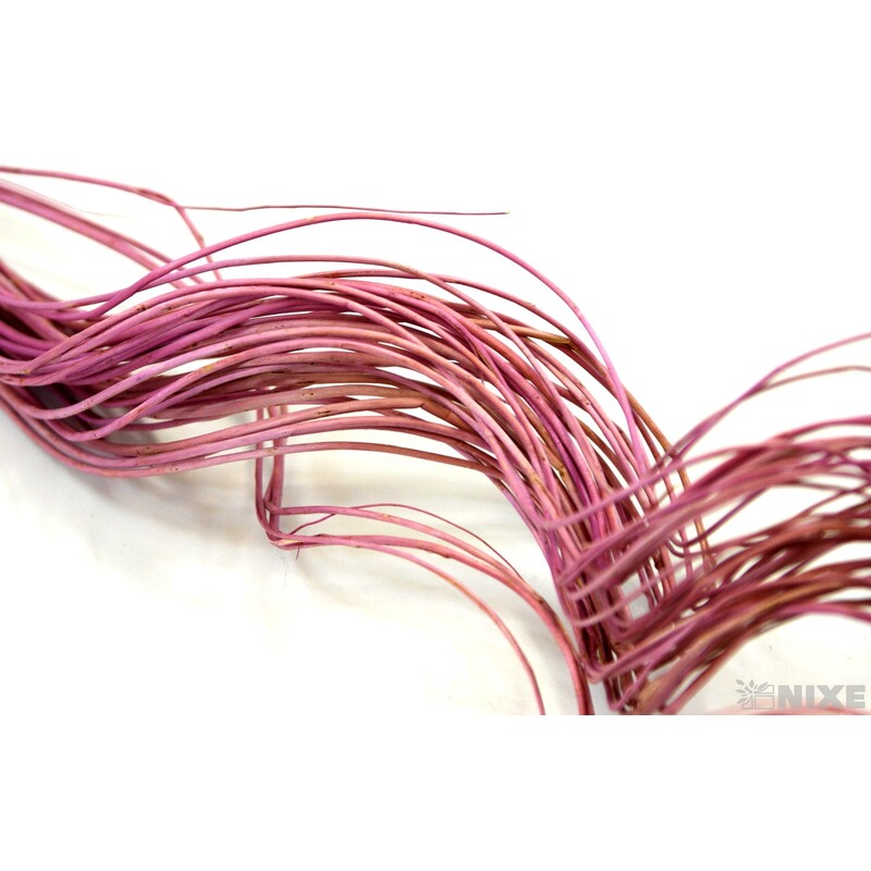 CURLY WILLOW HALF 80cm*STARORŮŽOVÁ