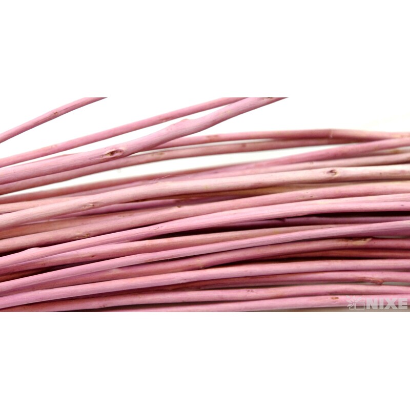 CURLY WILLOW HALF 80cm*STARORŮŽOVÁ