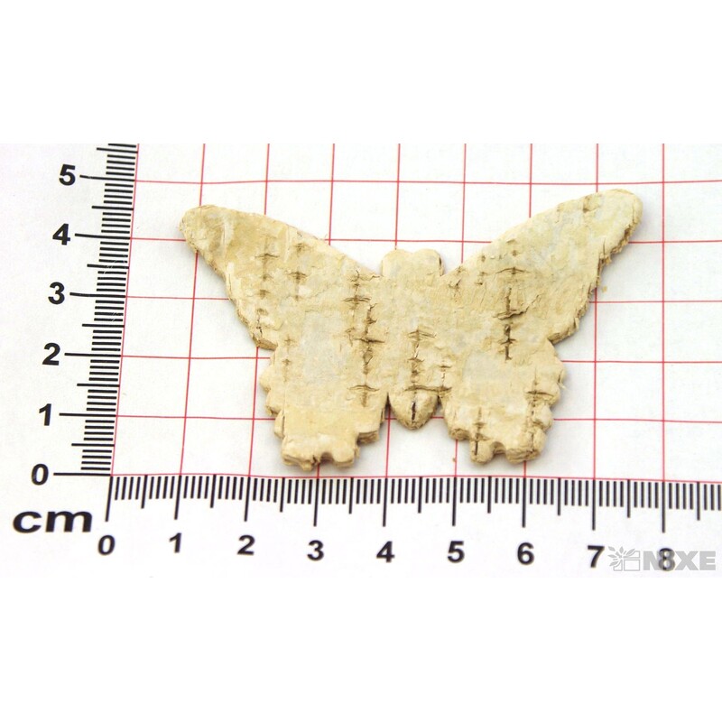 MOTÝL BŘÍZA 7x5cm 24ks*PŘÍRODNÍ