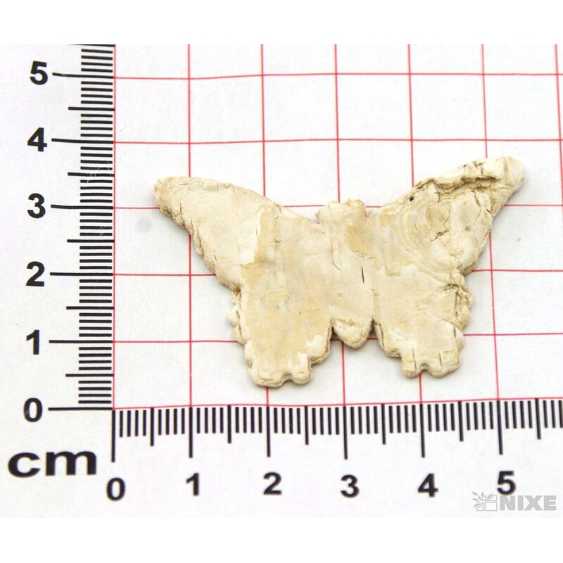 MOTÝL BŘÍZA 5x3,5cm 36ks*PŘÍRODNÍ