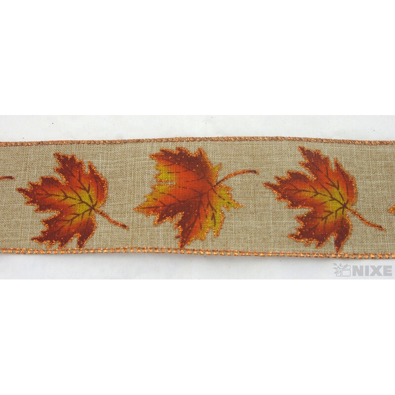 SALVI 60mmx10yd*PŘÍRODNÍ C002 V+