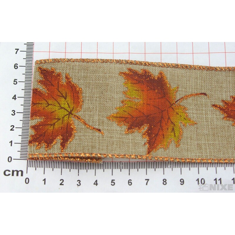 SALVI 60mmx10yd*PŘÍRODNÍ C002 V+