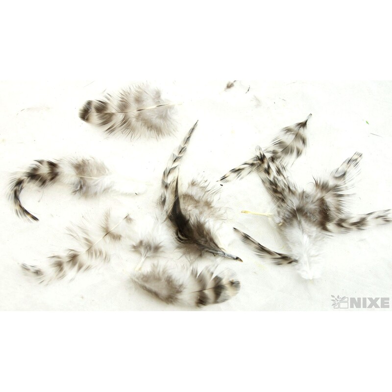 PEŘÍČKA SÁČEK 10gr.*PŘÍRODNÍ