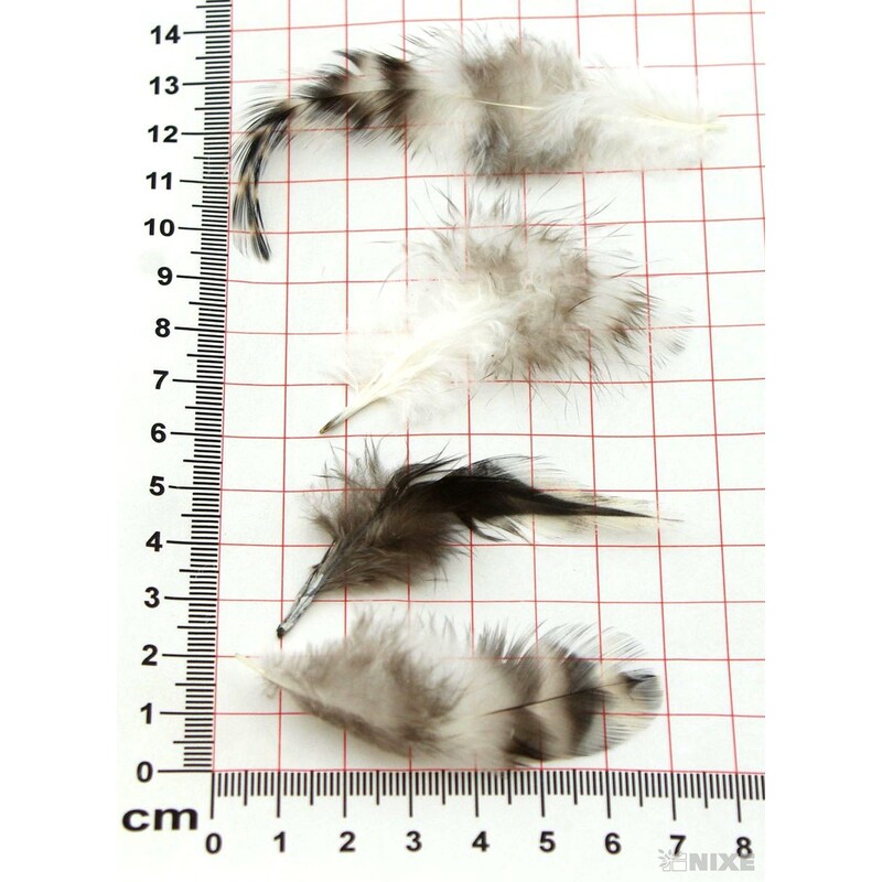 PEŘÍČKA SÁČEK 10gr.*PŘÍRODNÍ