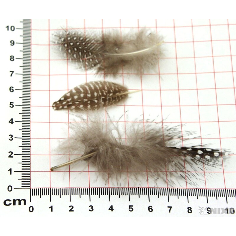 PEŘÍČKA SÁČEK 10gr.*PŘÍRODNÍ