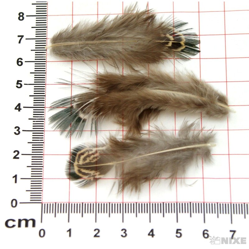 PEŘÍČKA SÁČEK 10gr.*PŘÍRODNÍ