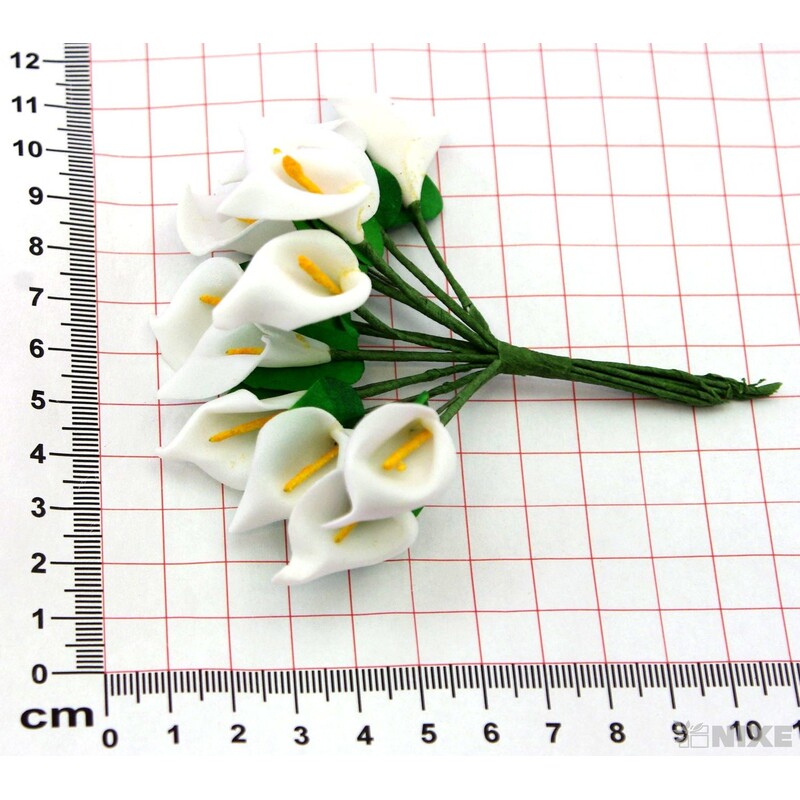 KYTIČKA SVAZEK 2x10cm 12ks 12sv*BÍLÁ