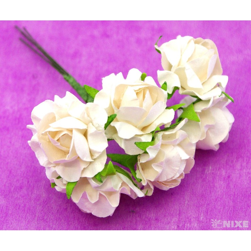 KYTIČKA SVAZEK 2x10cm 12ks 12sv*BÍLÁ