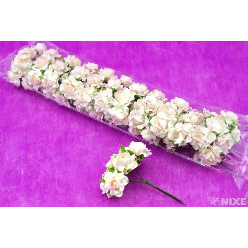 KYTIČKA SVAZEK 2x10cm 12ks 12sv*BÍLÁ