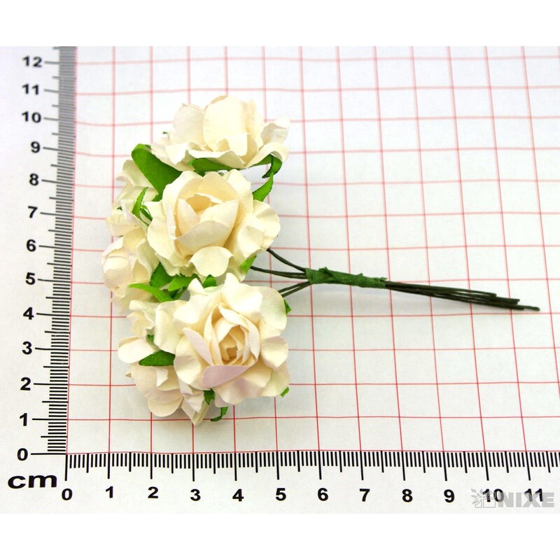 KYTIČKA SVAZEK 2x10cm 12ks 12sv*BÍLÁ