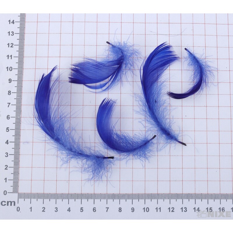 PEŘÍČKA BOX 15gr. cca 250ks*MODRÁ TM. C30