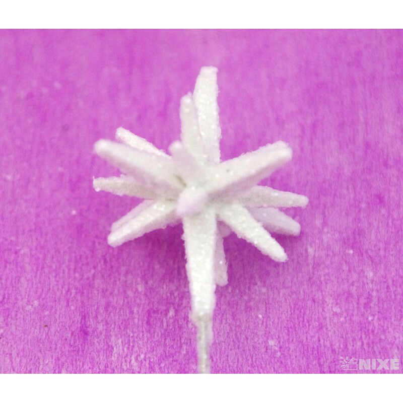 ŠPENDLÍK HVĚZDA 30mmx9cm 36ks*BÍLÁ