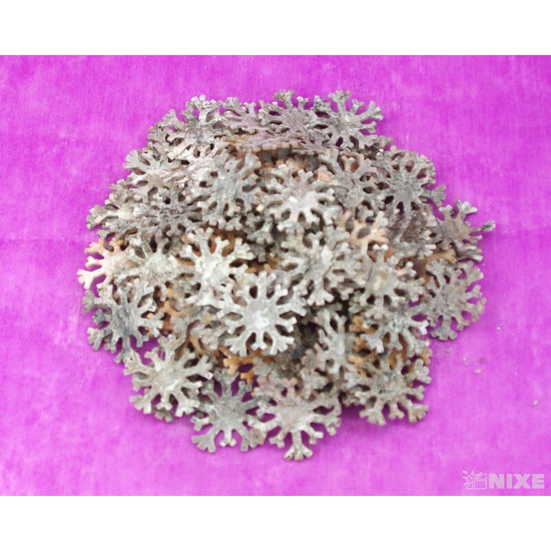 VLOČKA 5,5cm 100ks*BÍLÁ