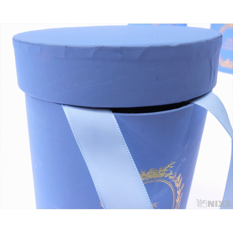 KVĚTINOVÝ BOX 5ks pr. 12x12cm*MIX BAREV