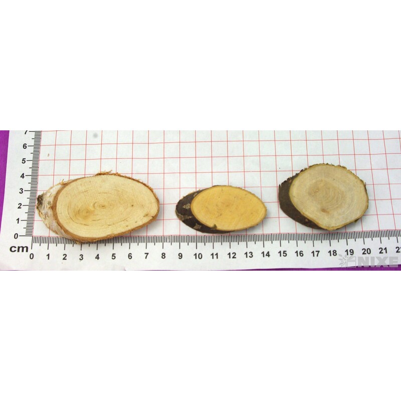 DŘEVO BŘÍZA 4x5cm 500g*PŘÍRODNÍ