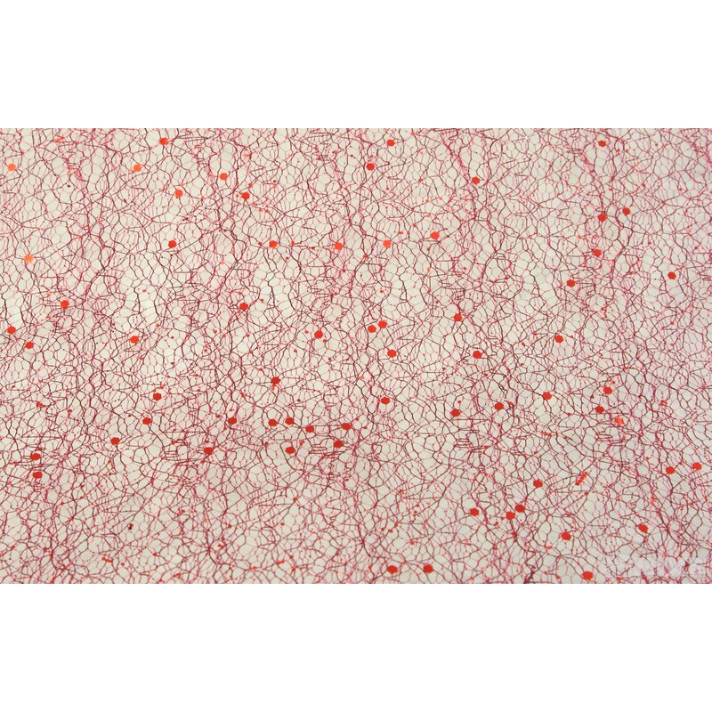 SPIDER ORGANZA BROKÁT 39cmx5yd*BORDOVÁ