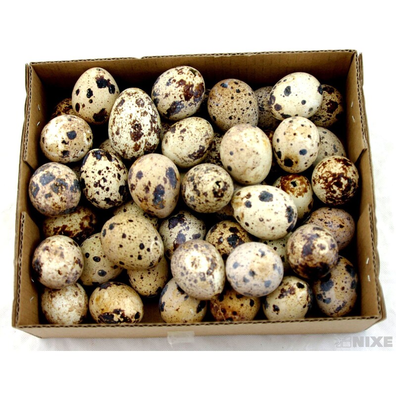 VAJÍČKA KŘEP. 3cm 48ks*PŘÍRODNÍ